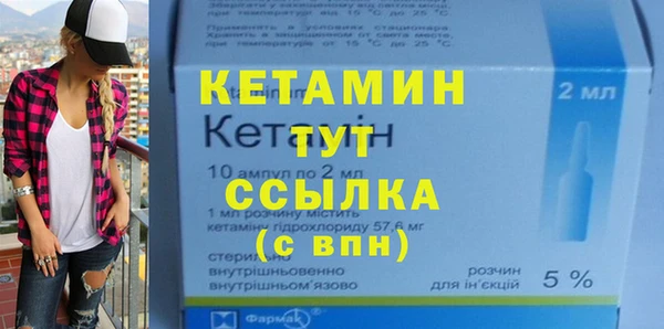 индика Бородино