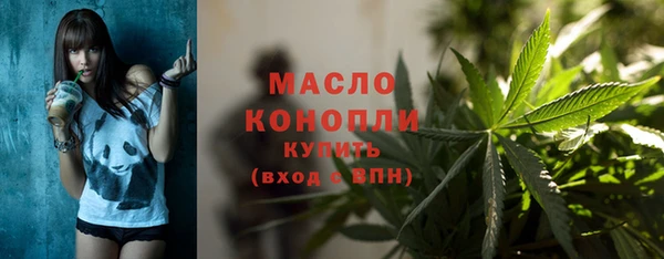 индика Бородино