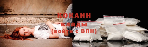 индика Бородино