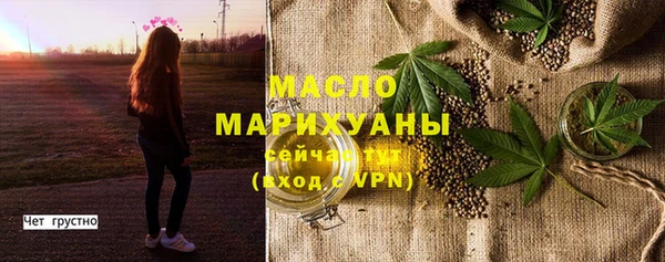 индика Бородино