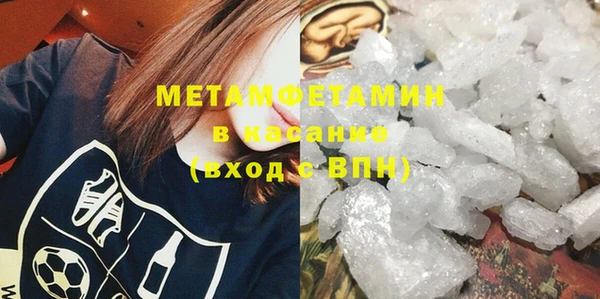индика Бородино