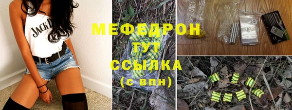 индика Бородино