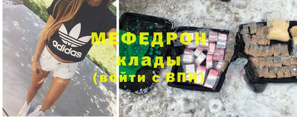 индика Бородино