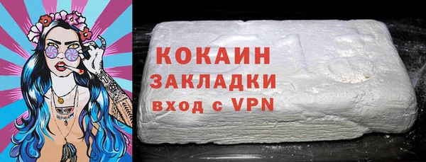 индика Бородино