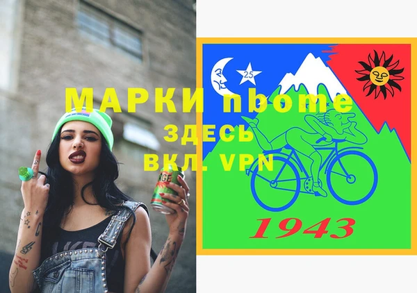 индика Бородино