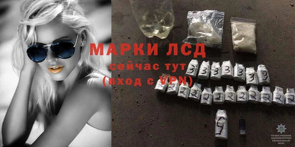 индика Бородино
