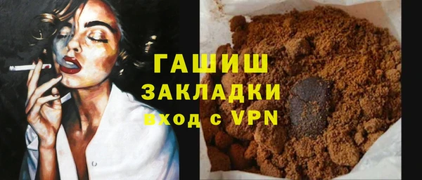 индика Бородино