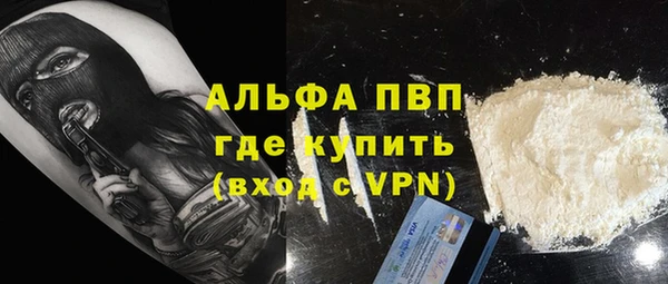 индика Бородино