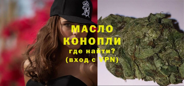 индика Бородино