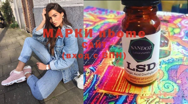 индика Бородино