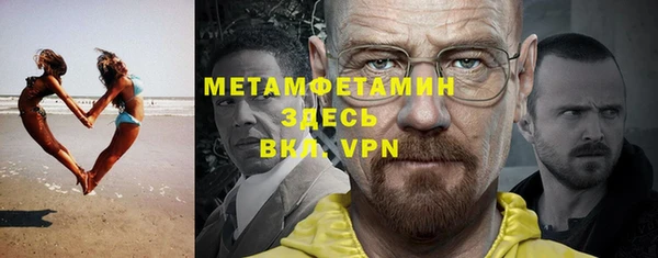 индика Бородино