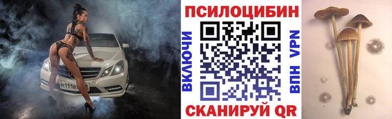 Псилоцибиновые грибы мухоморы  дарк нет наркотические препараты  Магнитогорск  наркотики  МЕГА онион 